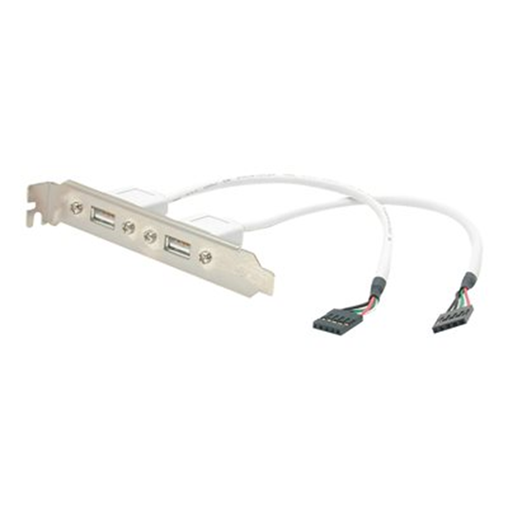 2 Port USB LP Slot Plate Adapter
