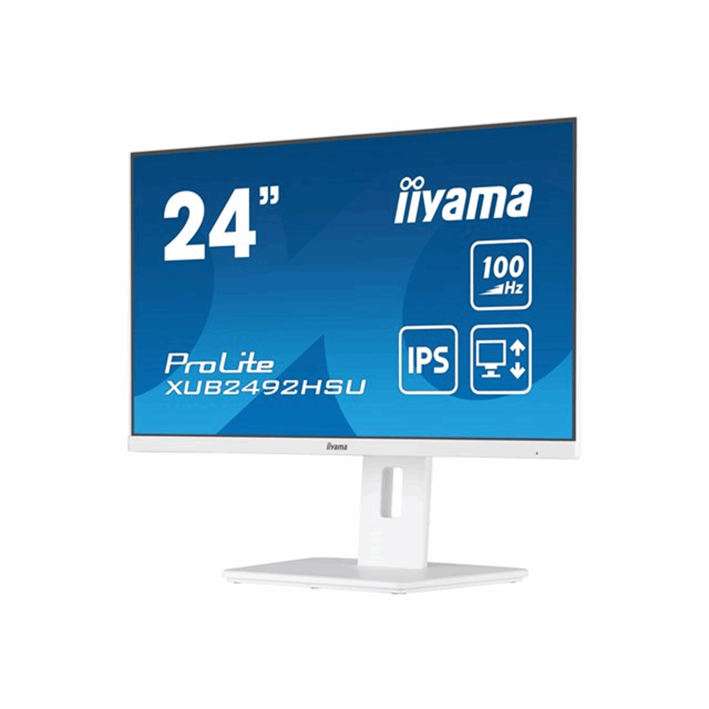 iiyama ProLite XUB2492HSU-W6