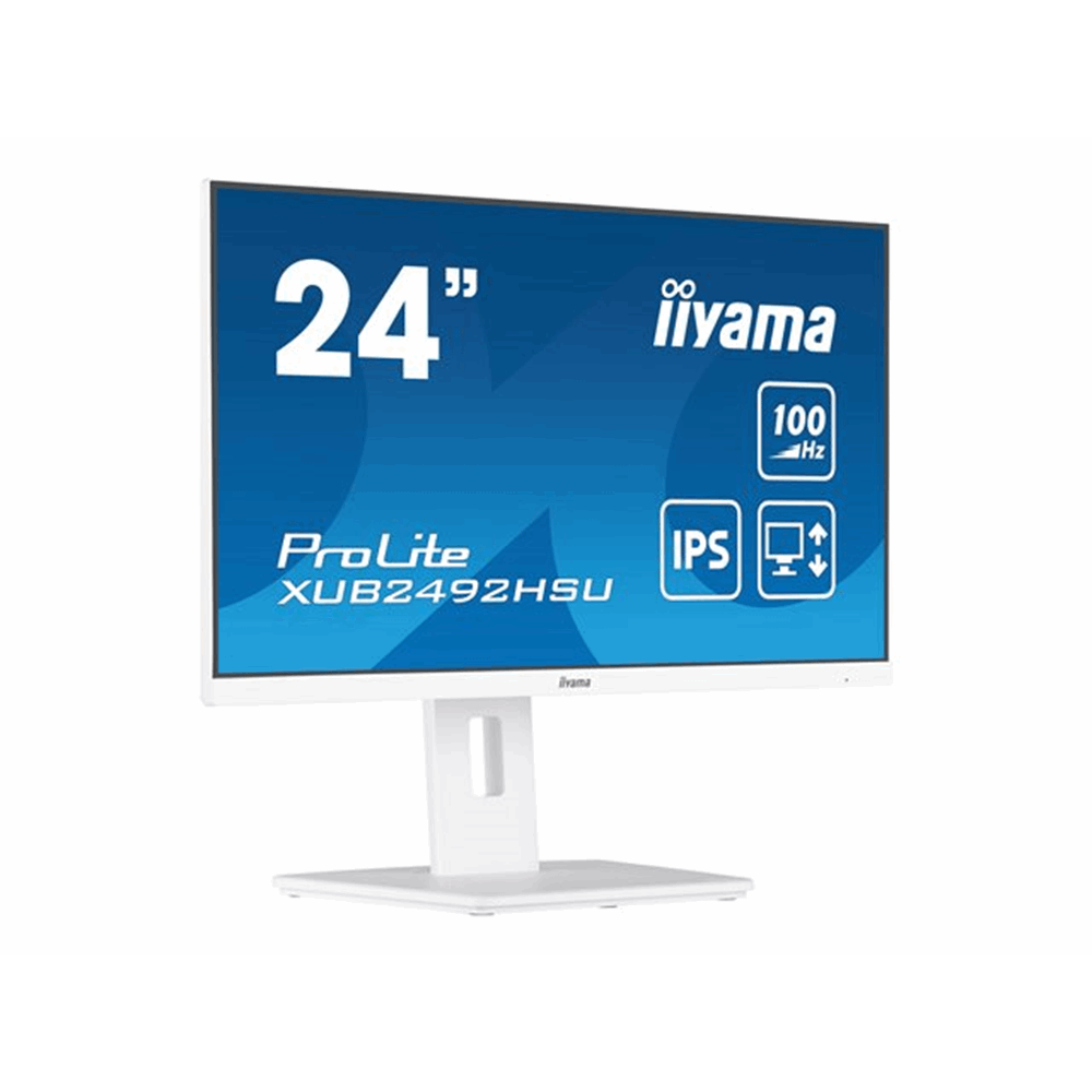 iiyama ProLite XUB2492HSU-W6