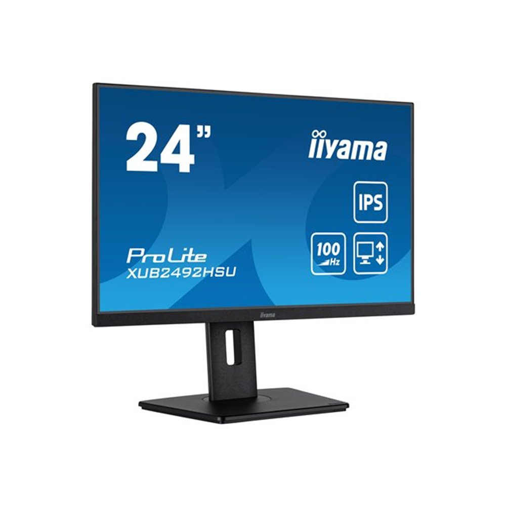 24iW LCD Business Full HD IPS