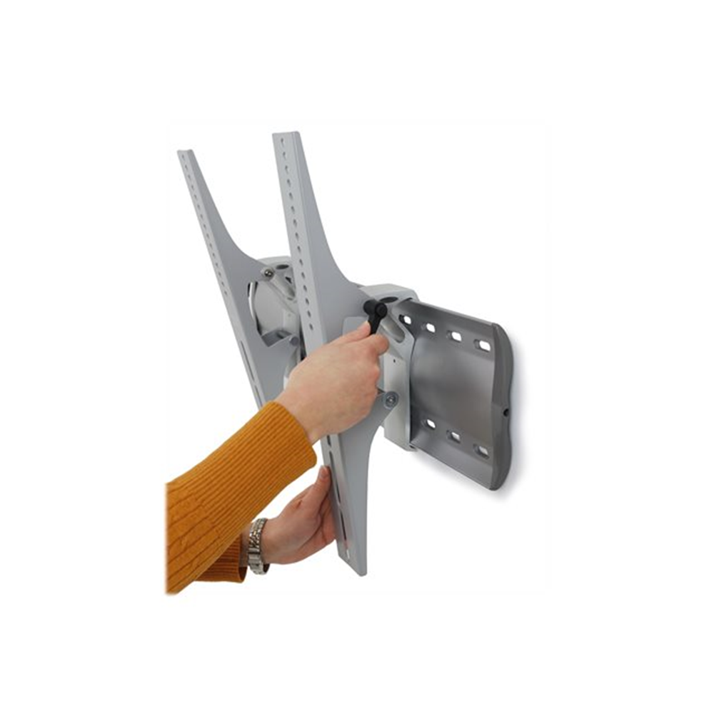 61-143-003/Tilting Wallmount LFD