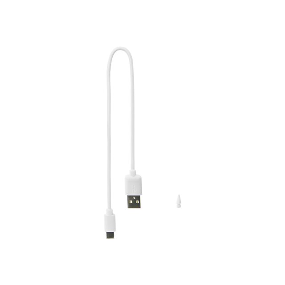 Active Stylus for iPad