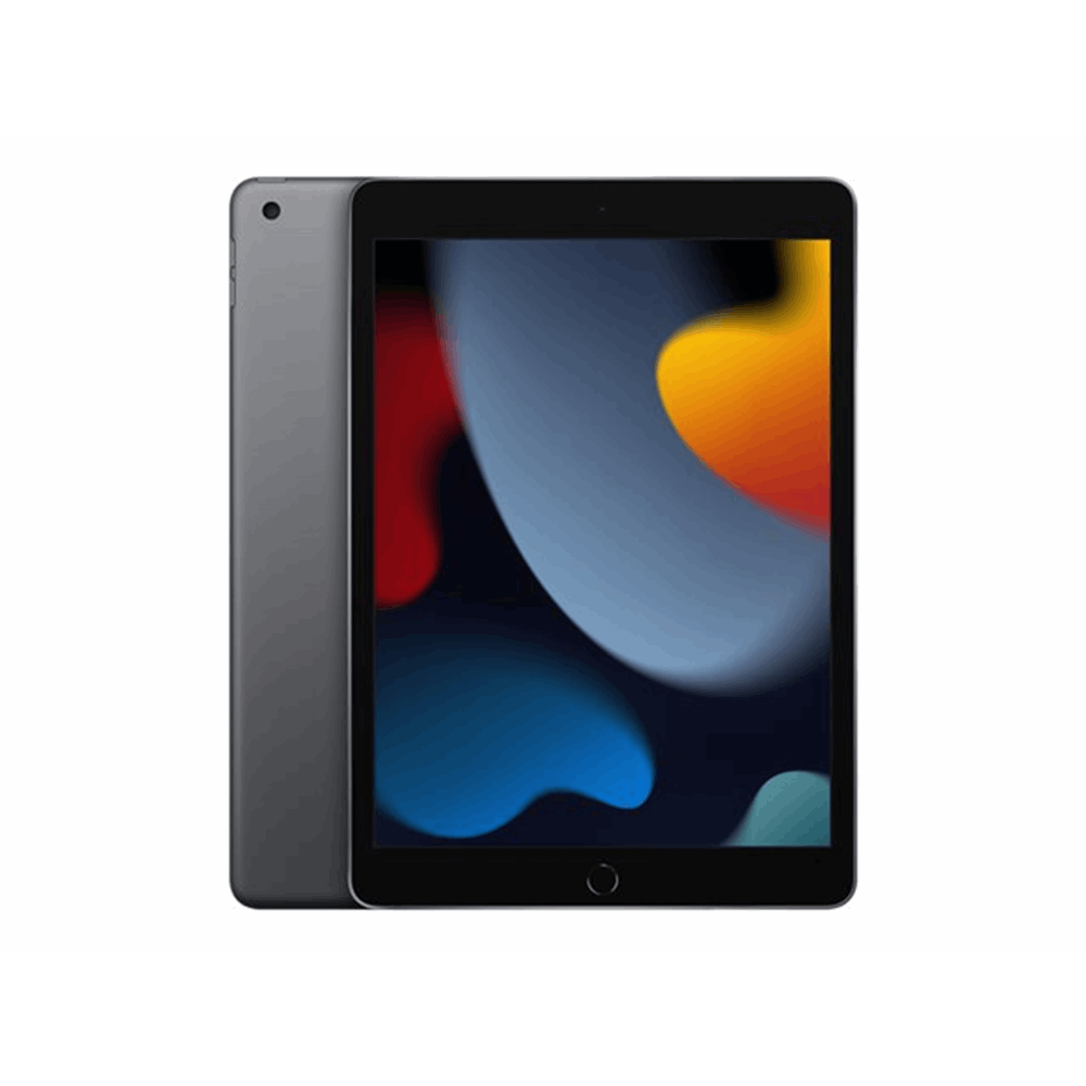 Apple iPad 10.2 (9th gen) 256GB Wi-