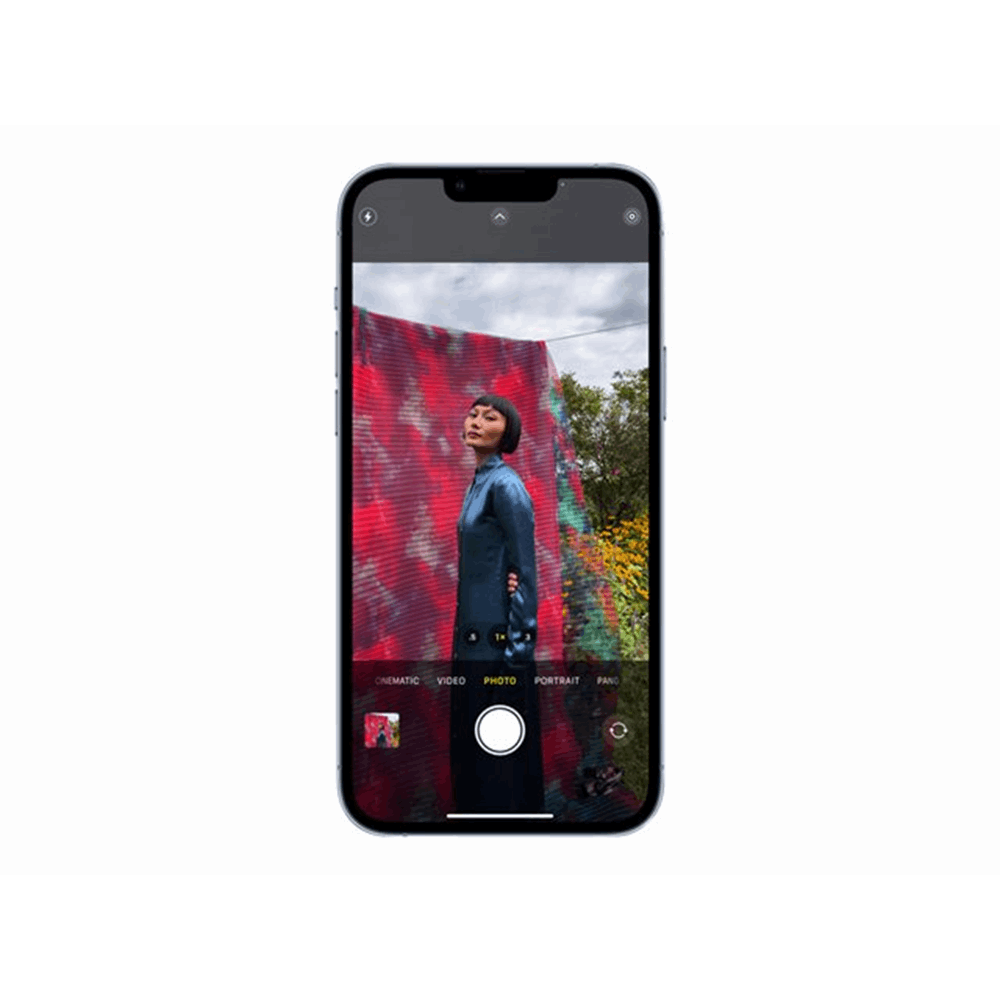 Apple iPhone 13 Pro Max 256GB Sierr