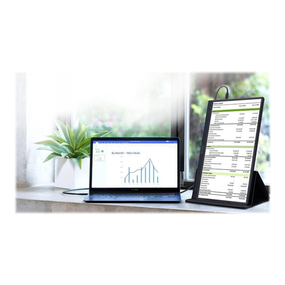 ASUS ZenScreen MB166C