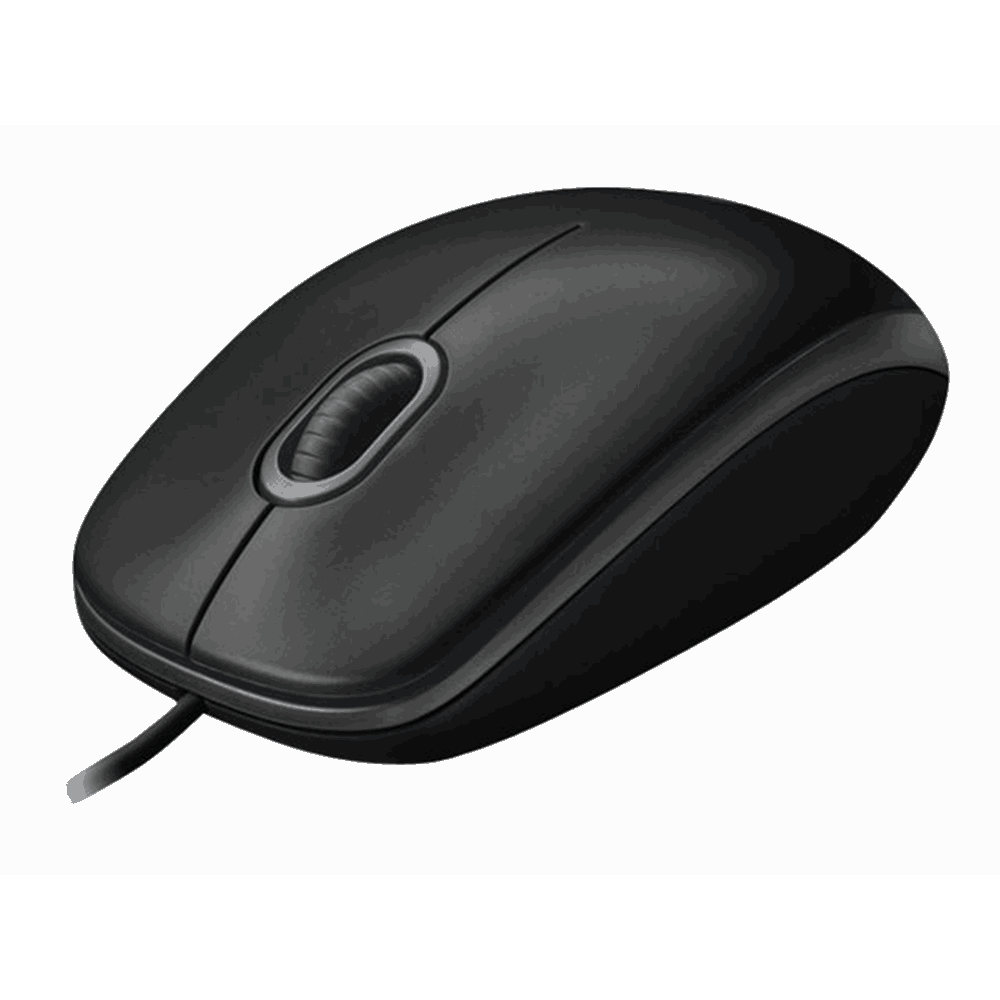 B100 Optical USB Mouse for Bus - BLACK