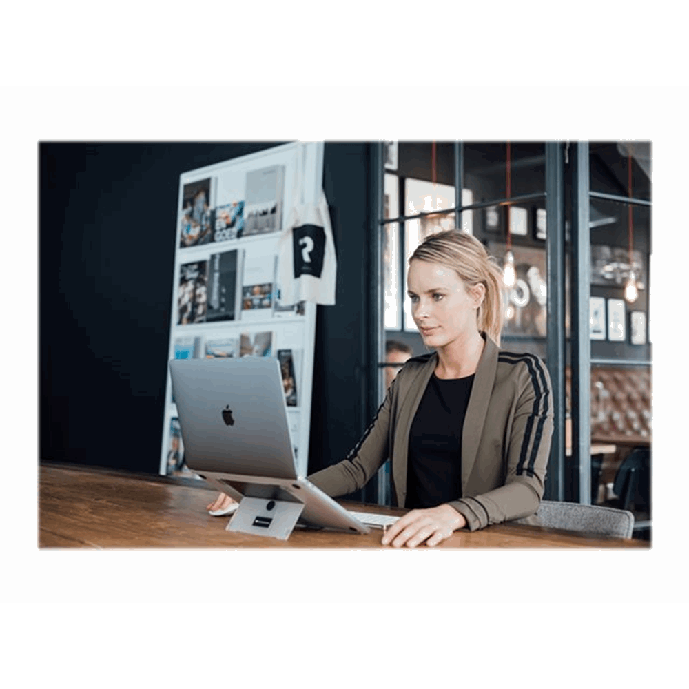Bakker Elkhuizen ProStand 13" model 2019