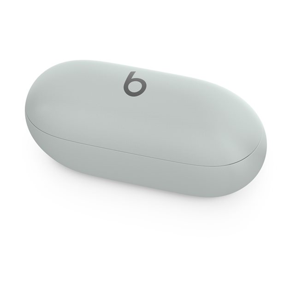 Beats Solo Buds Storm Gray