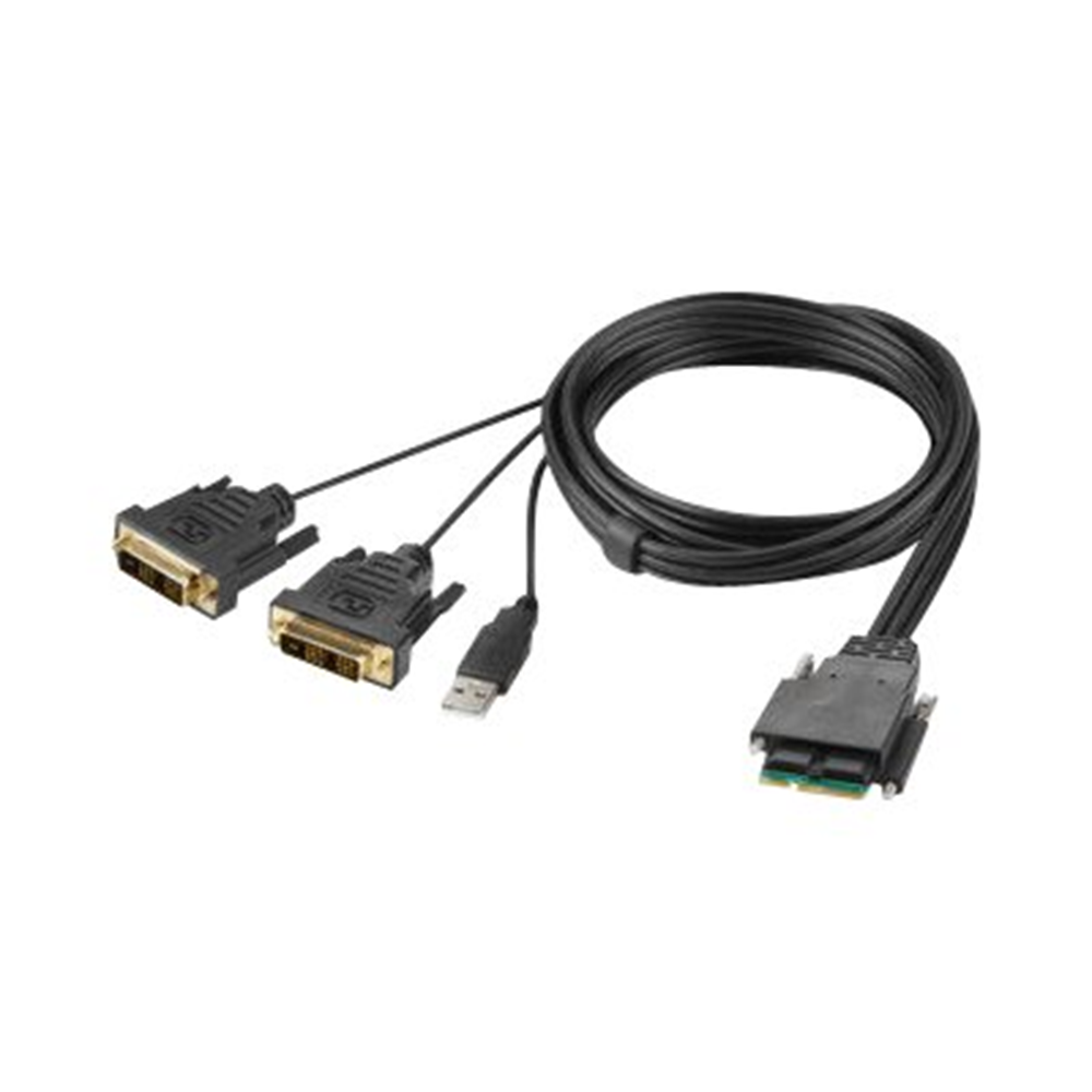 Belkin 2-Port Dual Head DVI Modular Secu