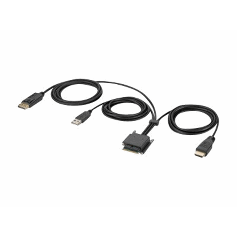 Belkin Modular HDMI and DP Dual Head Hos