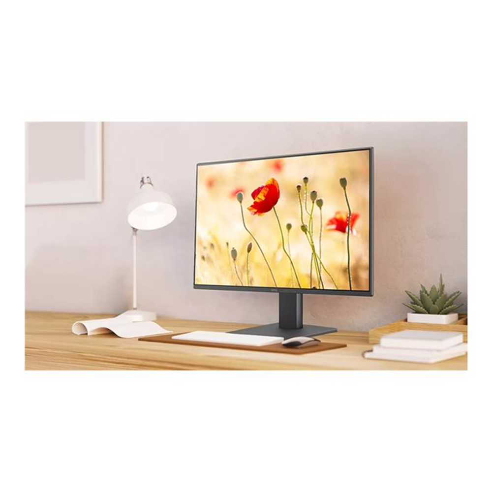 BenQ GW2491