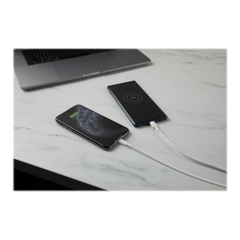 Dual USB-A Wall Charg w/1M PVC A-LTG 24W