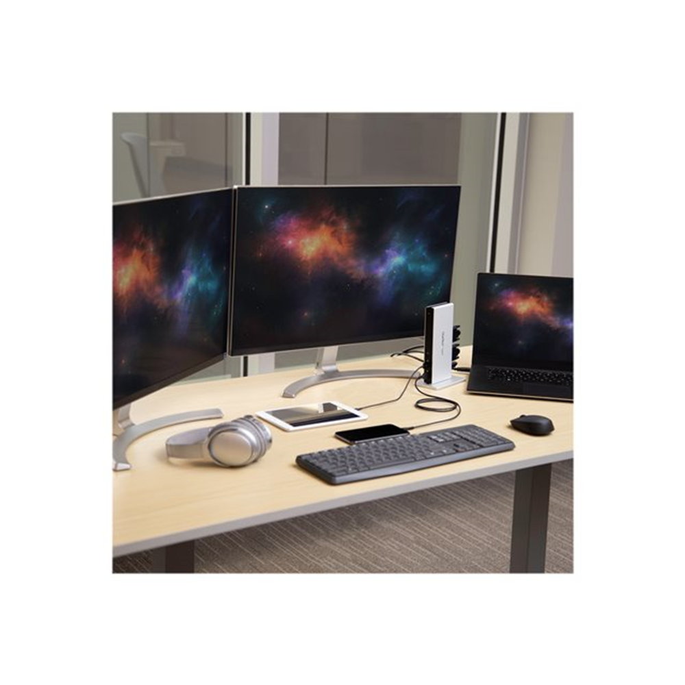 DVI Dual-Monitor Laptop Docking Station