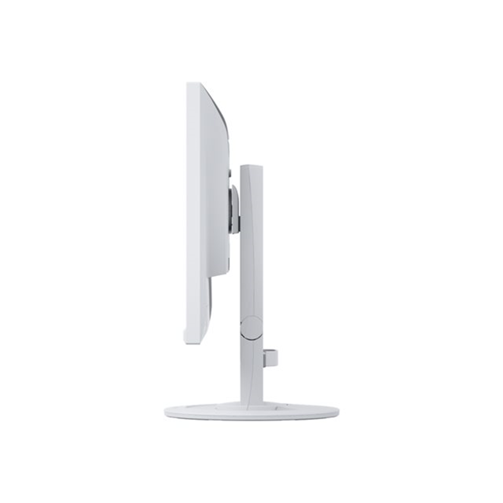 EIZO FlexScan EV2460