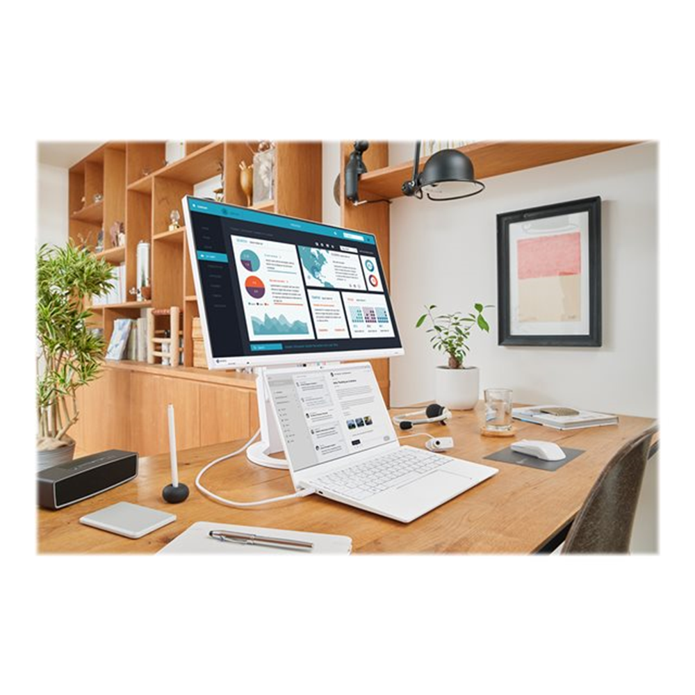 EIZO FlexScan EV2490-WT