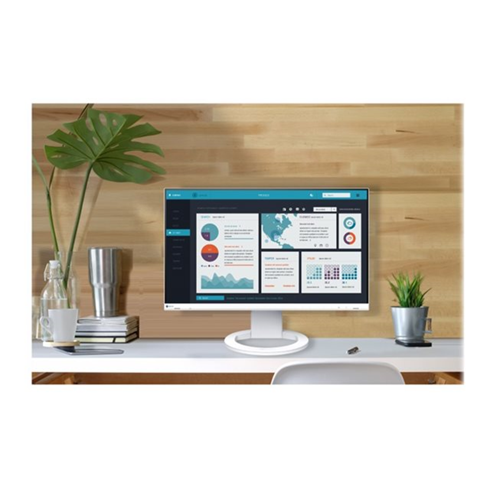 EIZO FlexScan EV2490-WT