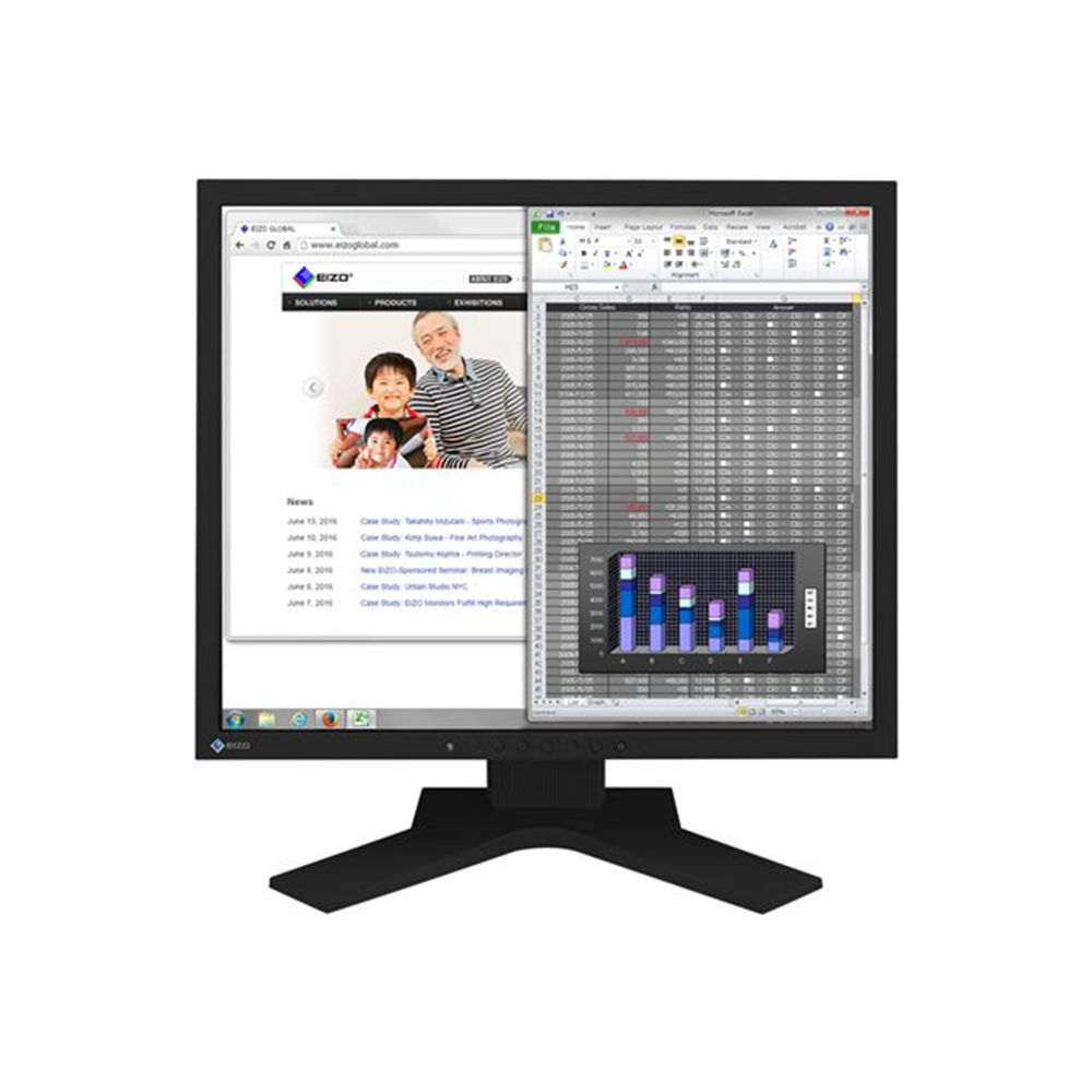 EIZO FlexScan S1934H