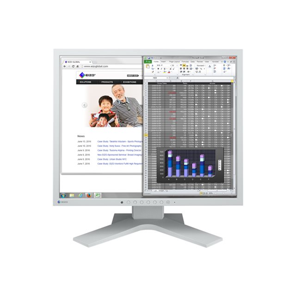 EIZO FlexScan S1934H