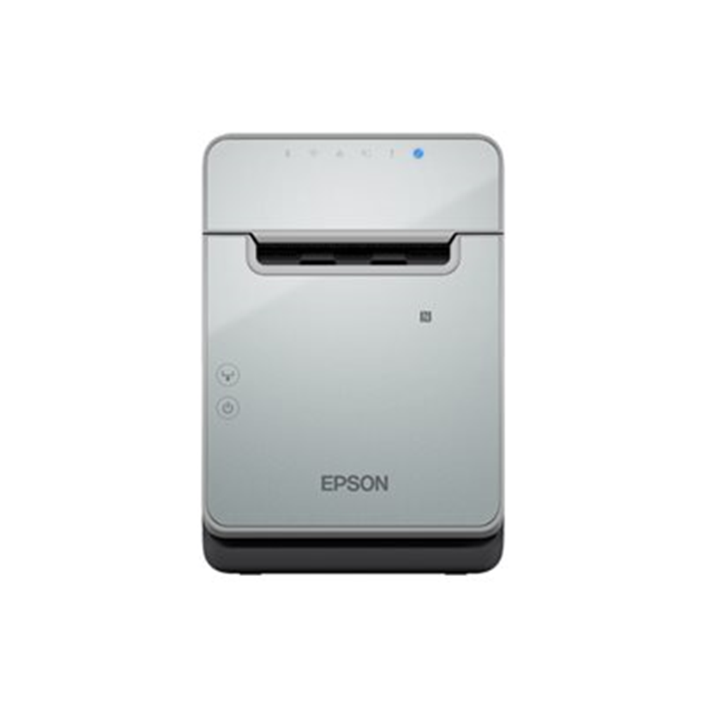 EPSON TM-L100 (103A0): USB ETHERNET PS U