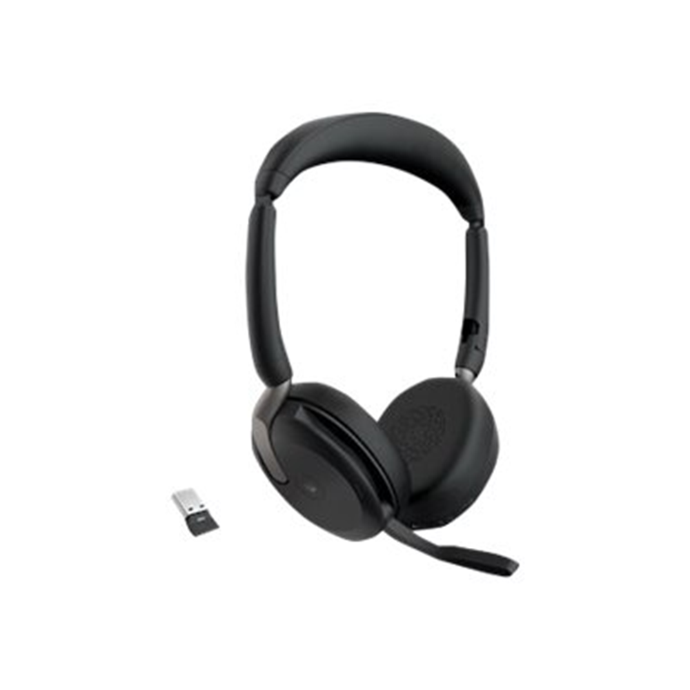 Evolve2 65 Flex Link380a MS Stereo
