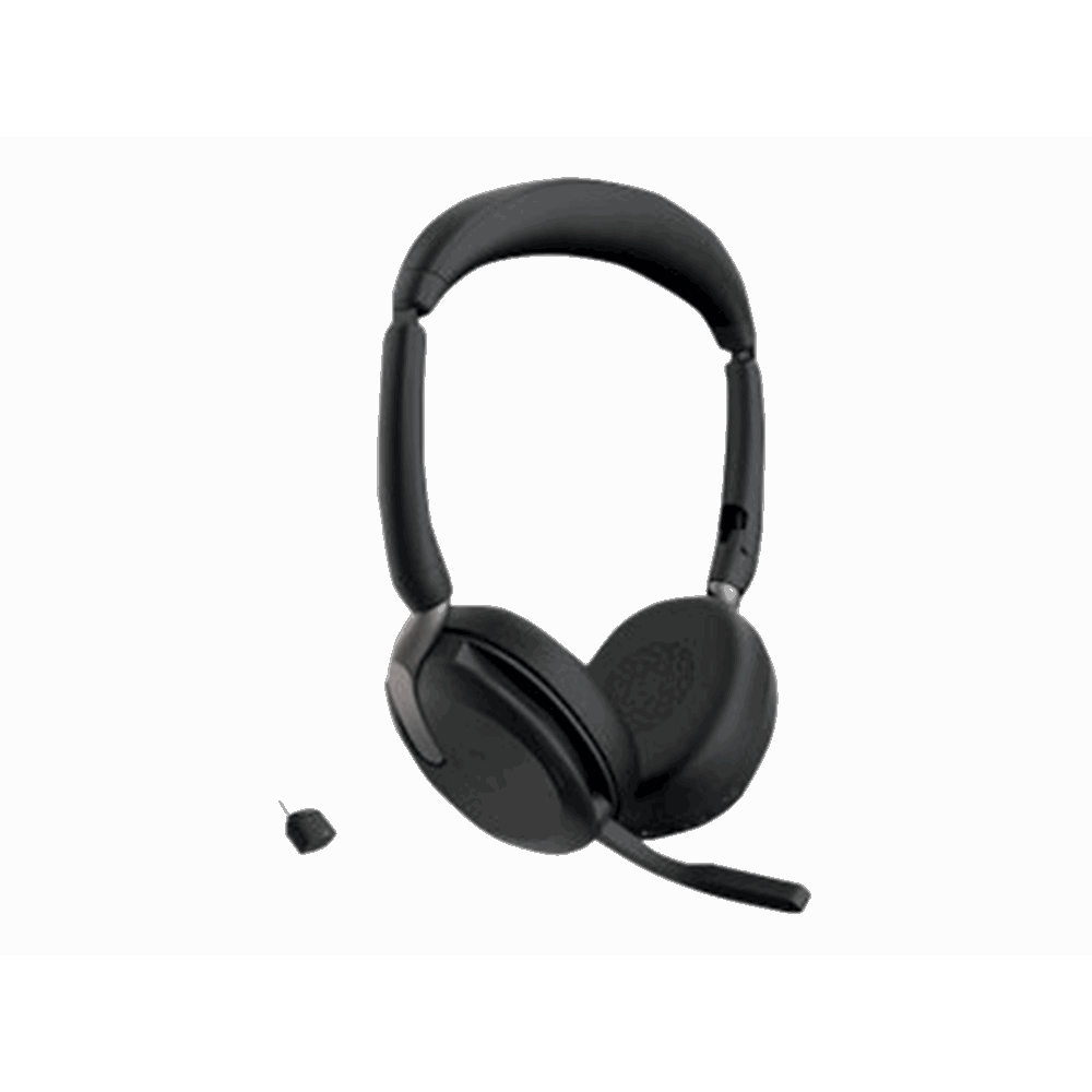 Evolve2 65 Flex Link380c UC Stereo WLC