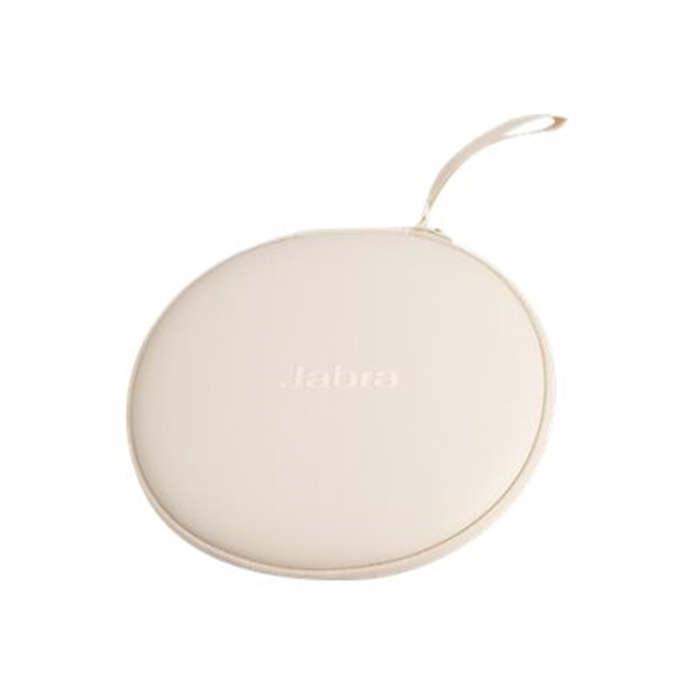 EVOLVE2 85 CARRY CASE