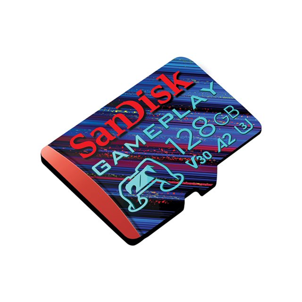 GamePlay microSDXC UHS-I Card 256GB GamePlay microSDXC UHS-I Card 256GB