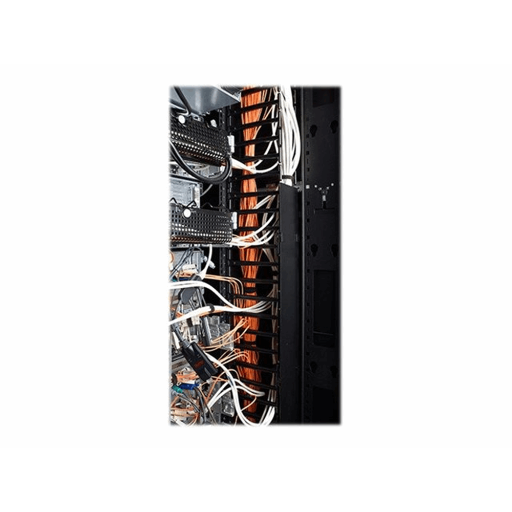 Hinged Covers for NetShelter SX 750mm Wide 42U Vertical Cable Manager (Qty 2)