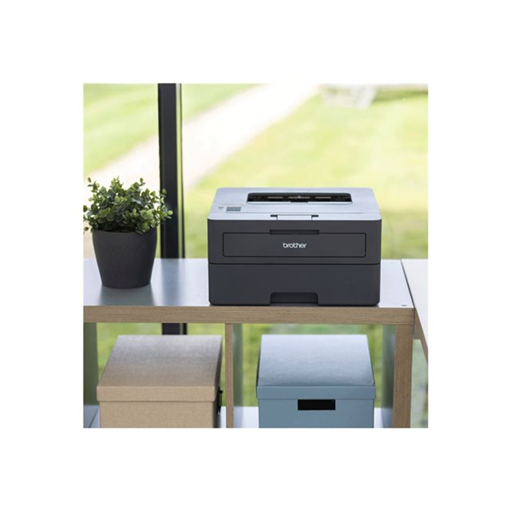HLL2445DW LASER PRINTER - REGION