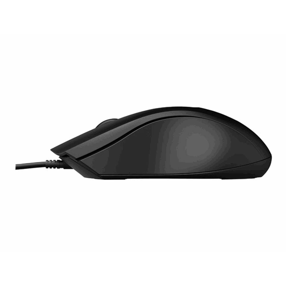HP 100 BLK WRD Mouse