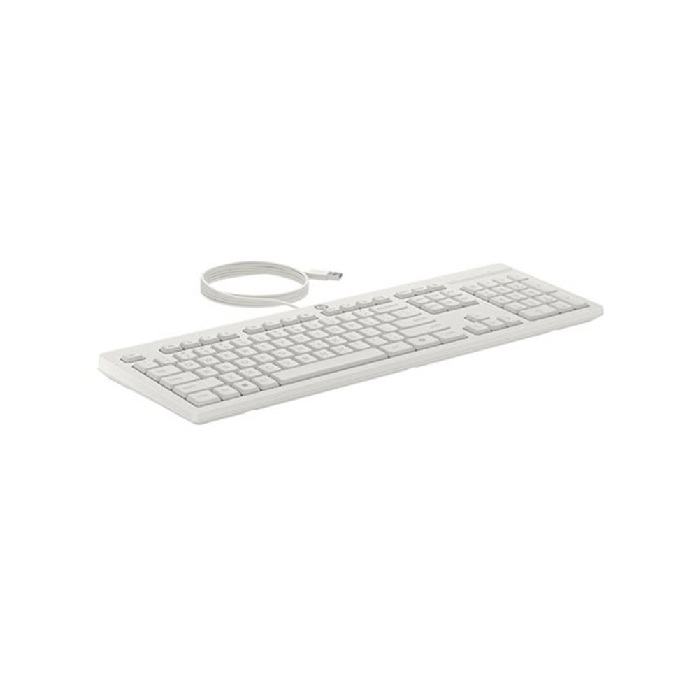 HP 225 Wired Mouse and KB G2 CWH EMEA -INTL English Loc ### Euro plug