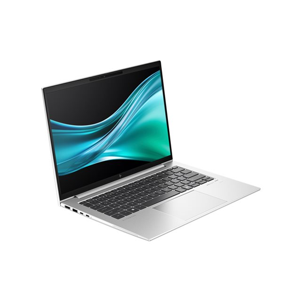 HP EliteBook 845 G11 Notebook