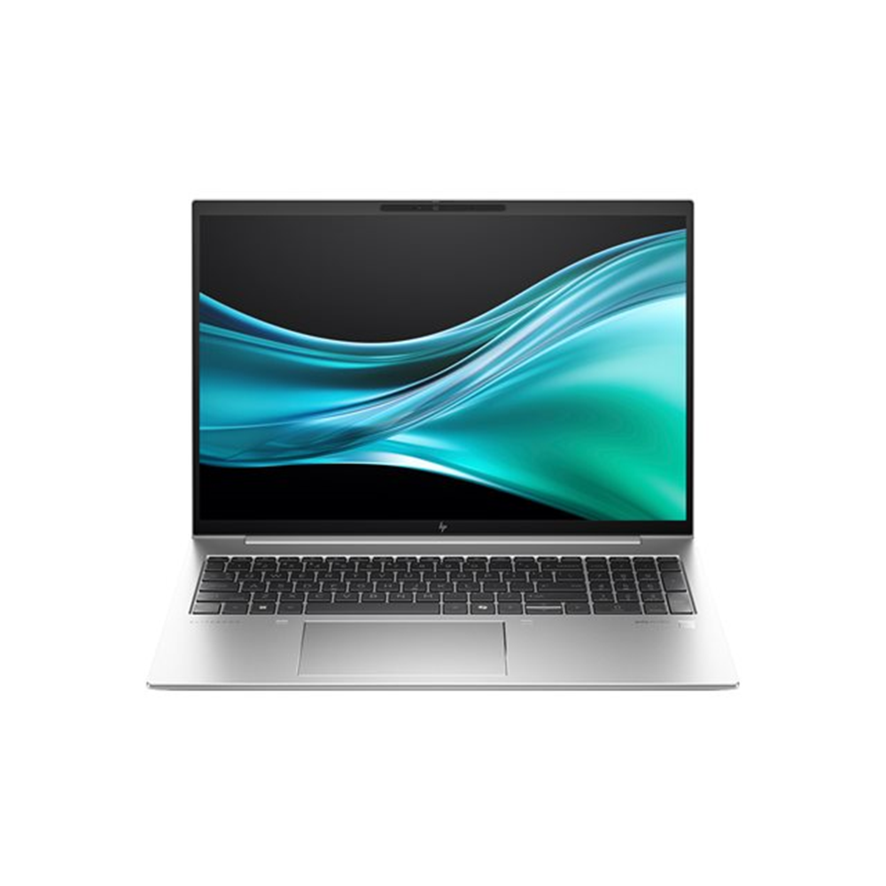 HP EliteBook 865 G11 Notebook