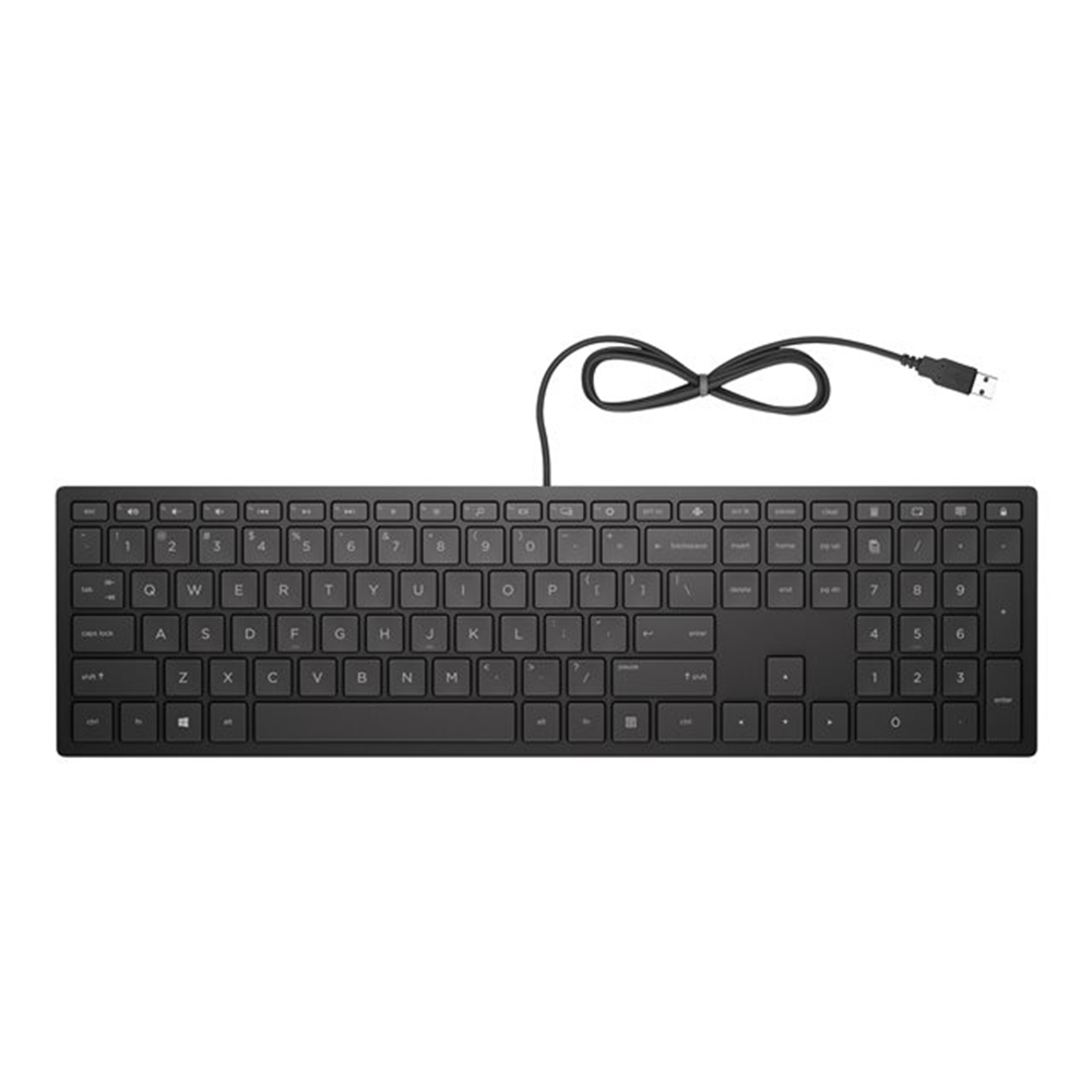 HP PAV Wired Keyboard 300