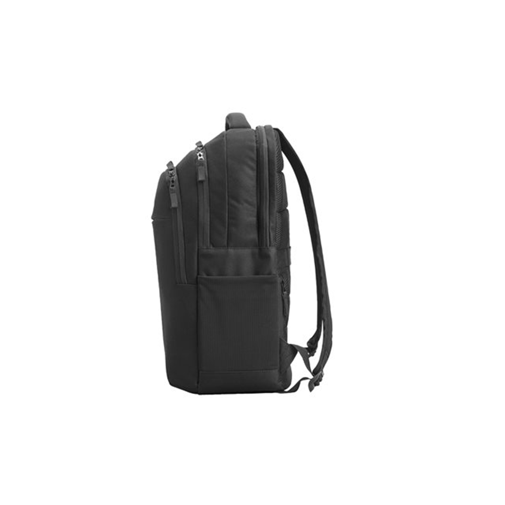 HP Prof 17.3 Laptop Bckpck