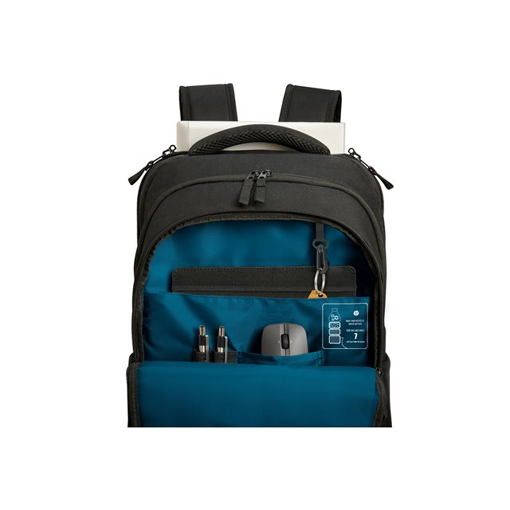 HP Prof 17.3 Laptop Bckpck