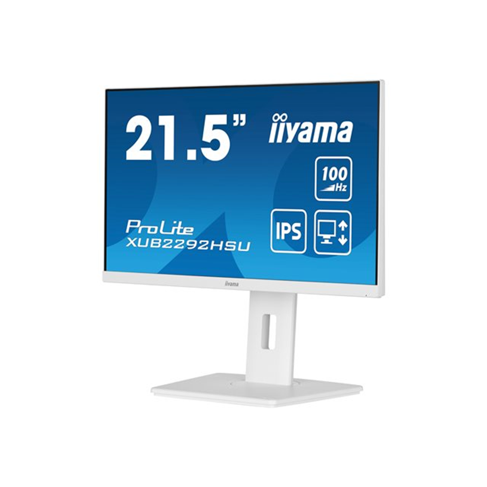 iiyama ProLite XUB2292HSU-W6