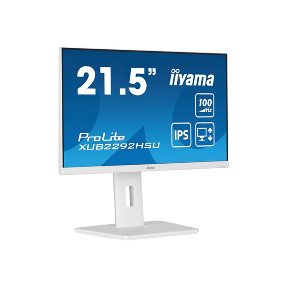 iiyama ProLite XUB2292HSU-W6