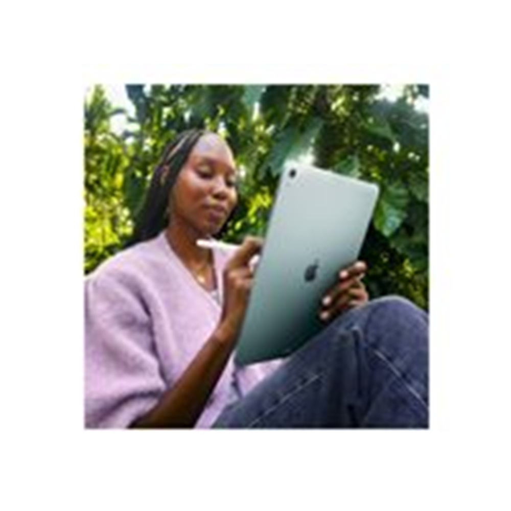 iPad Air M3 11" WiFi 256GB Steel