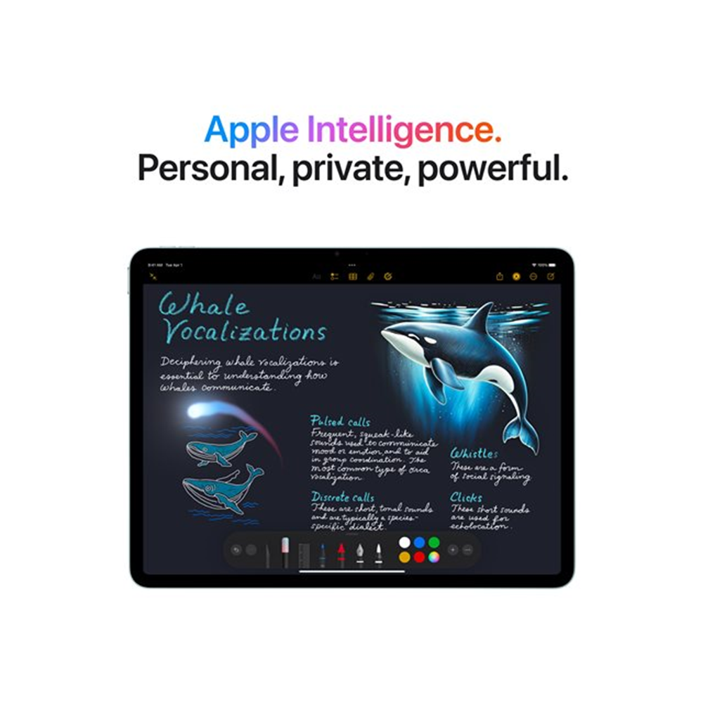 iPad Air M3 13" WiFi Cell 128GB Steel