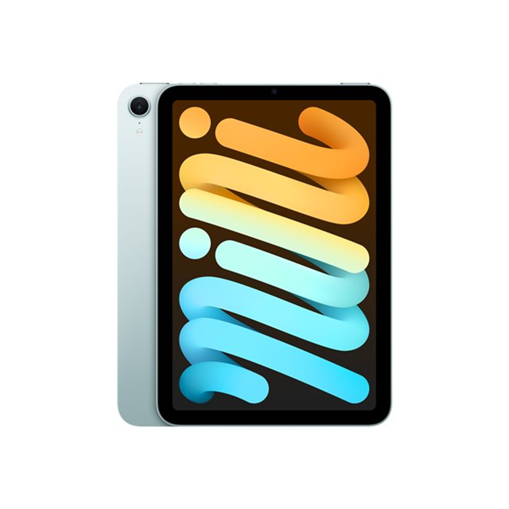 iPad Mini Wi-Fi 256GB Blue