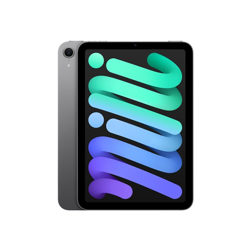 iPad Mini Wi-Fi 256GB Space Gray