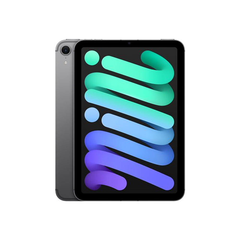 iPad Mini Wi-Fi Cl 128GB Space Gray