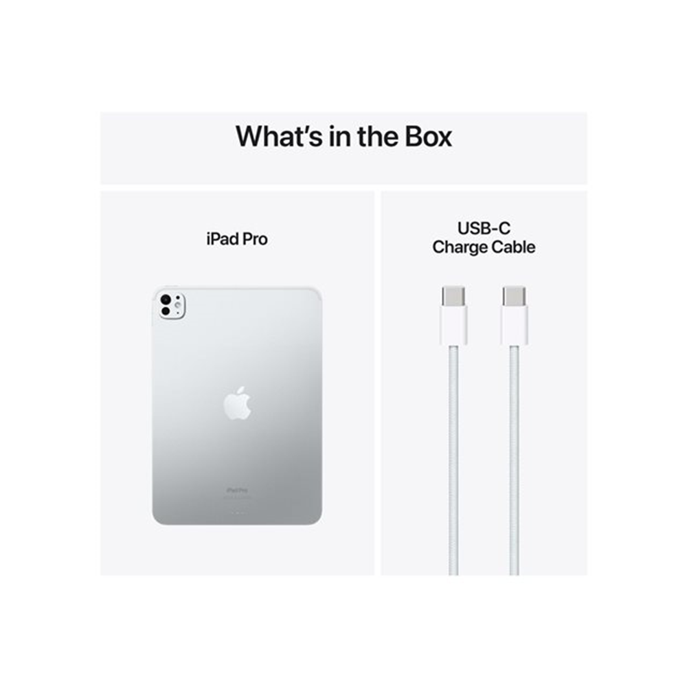 IPAD PRO 11 WF CL 256GB SILVER-BNL
