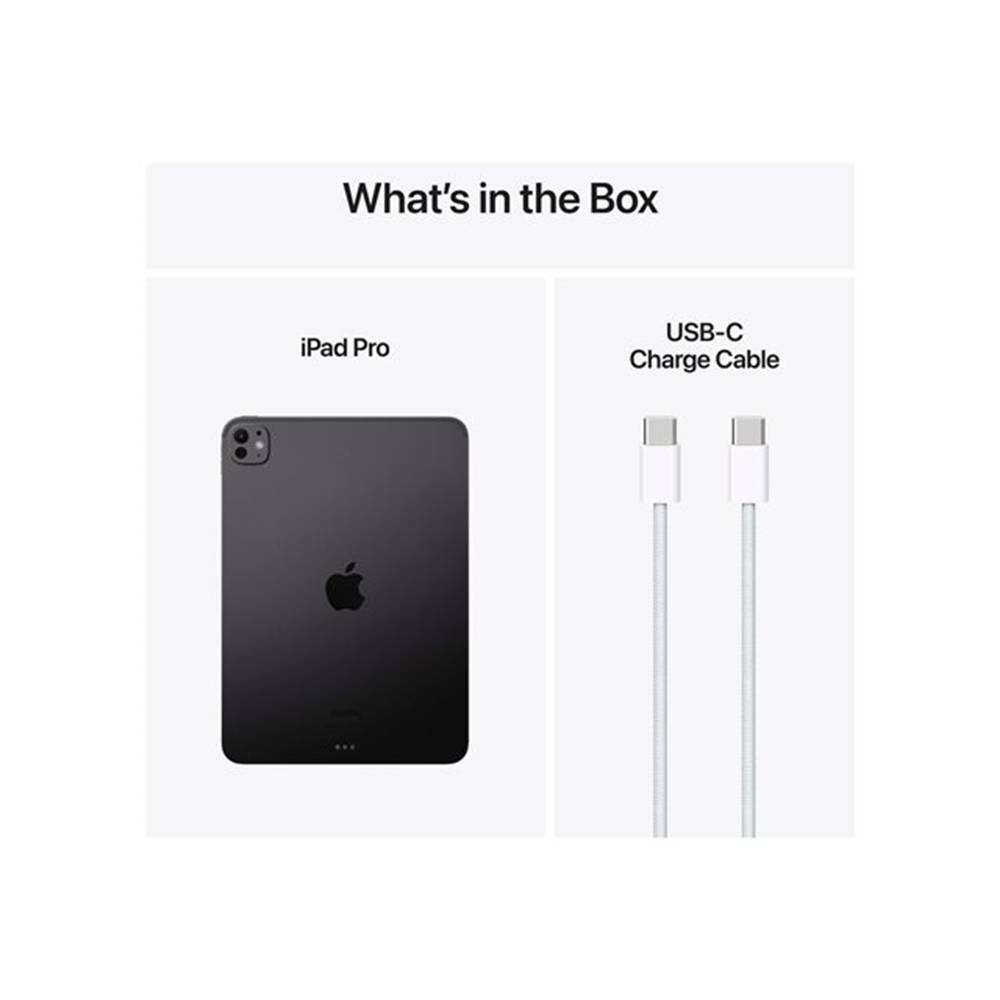 IPAD PRO 11 WF CL 256GB SP BLK-BNL