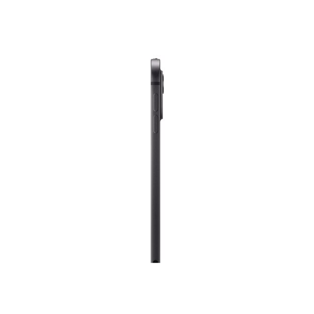 IPAD PRO 11 WF CL 256GB SP BLK-BNL