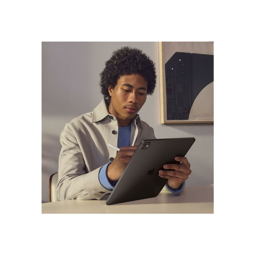 IPAD PRO 11 WF CL 256GB SP BLK-BNL