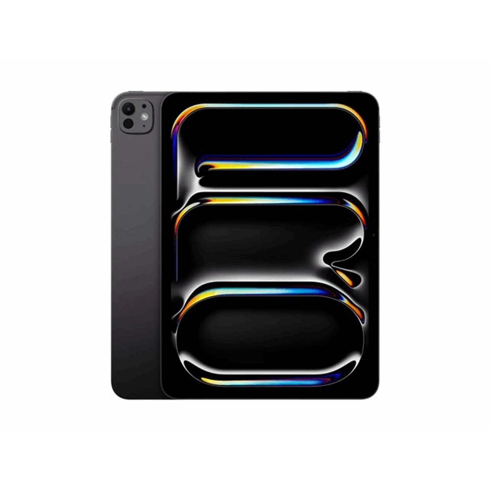 IPAD PRO 11 WIFI 256GB SP BLK-BNL