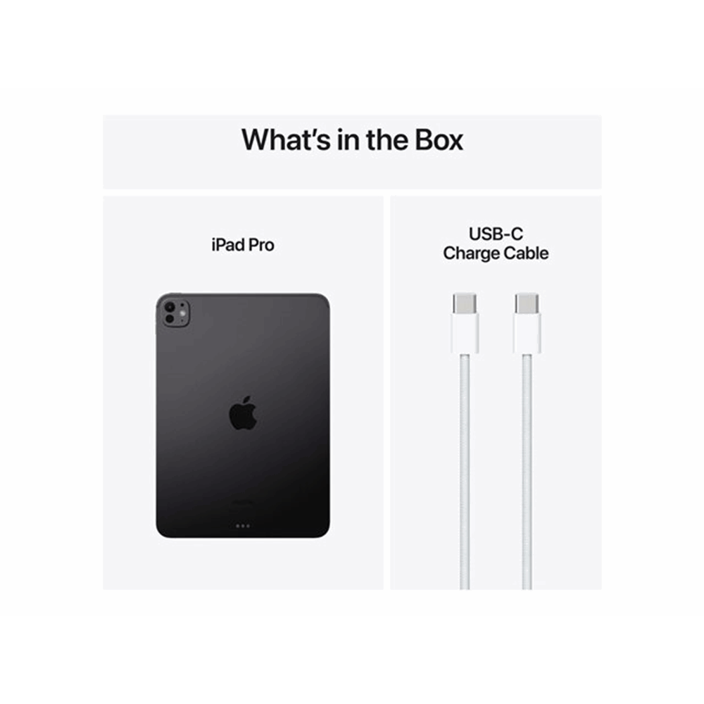 IPAD PRO 11 WIFI 256GB SP BLK-BNL