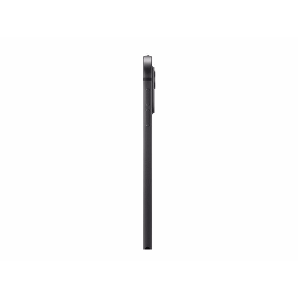 IPAD PRO 11 WIFI 256GB SP BLK-BNL